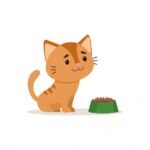 Cat Food